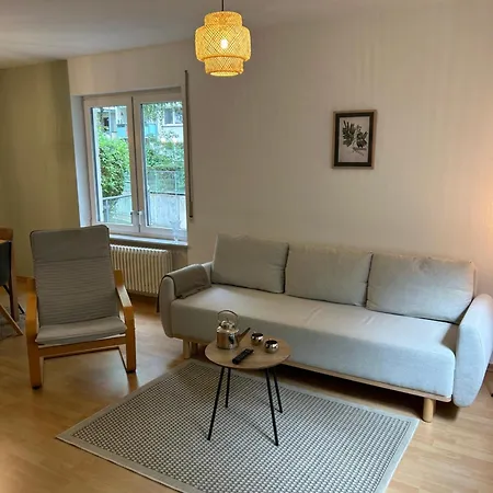 Lägenhet Stilvolle Im Gruenen Mit Wohlfuehlcharakter Chemnitz