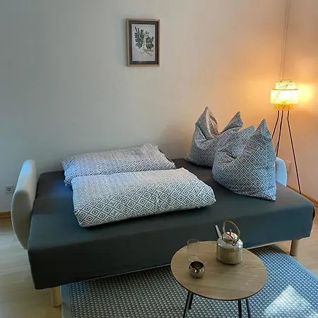 Stilvolle Im Gruenen Mit Wohlfuehlcharakter * Chemnitz